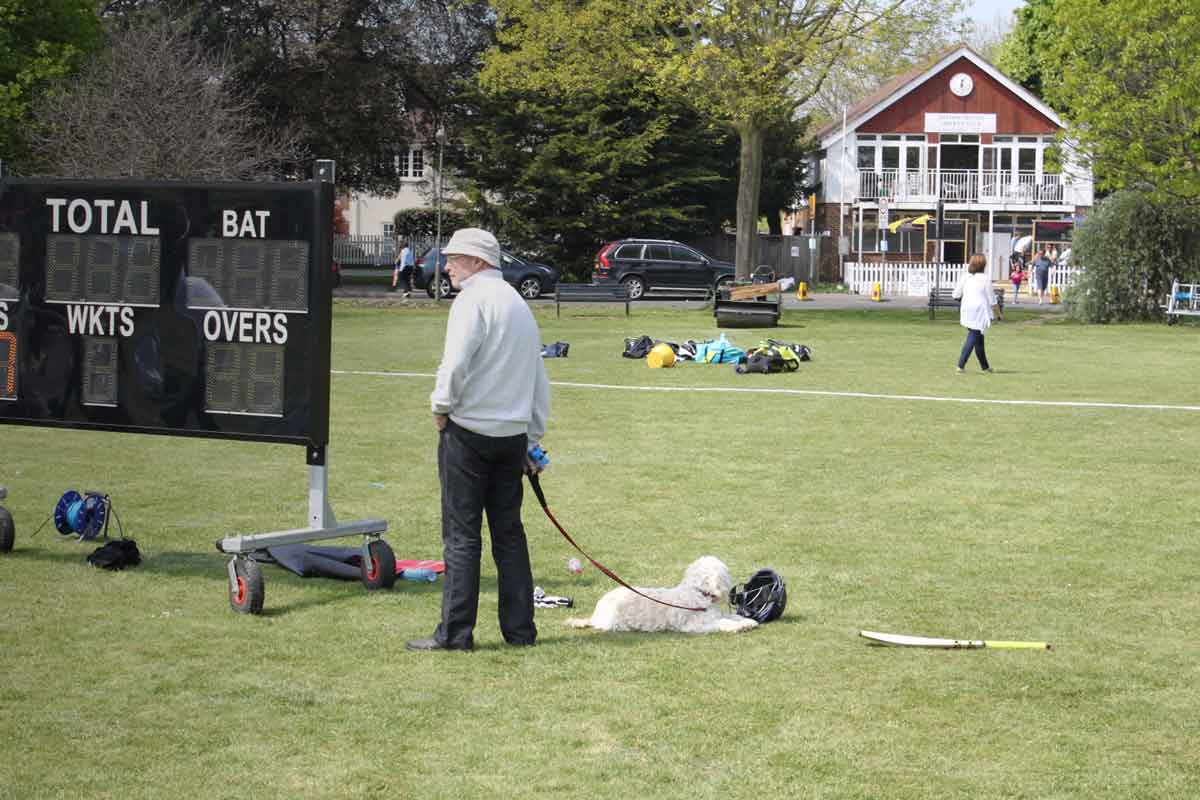 Photo Gallery Thames Ditton Cricket Club